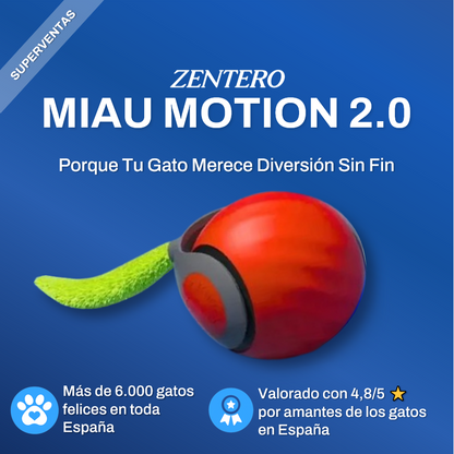 MIAU MOTION 2.0